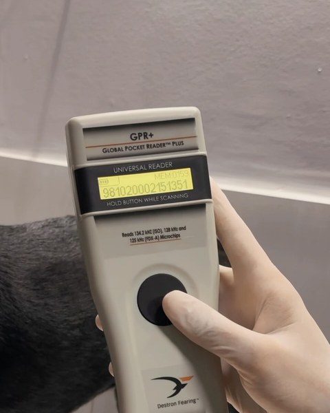 Atendimento com Carinho